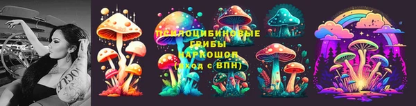 ПСИЛОЦИБИНОВЫЕ ГРИБЫ Абинск