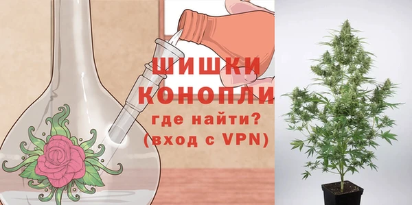 герыч Мегион